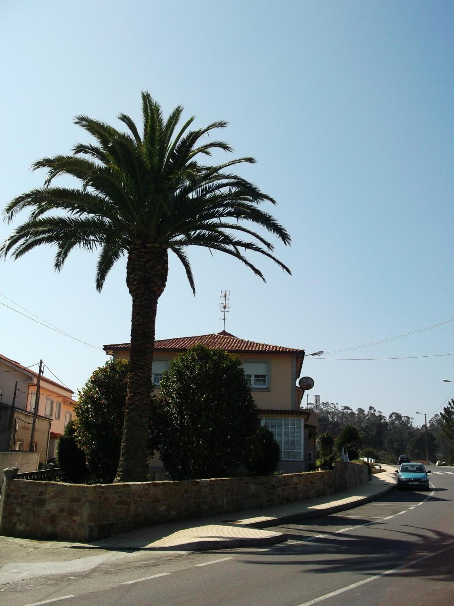 Hostal Pereirina Cee Exteriér fotografie