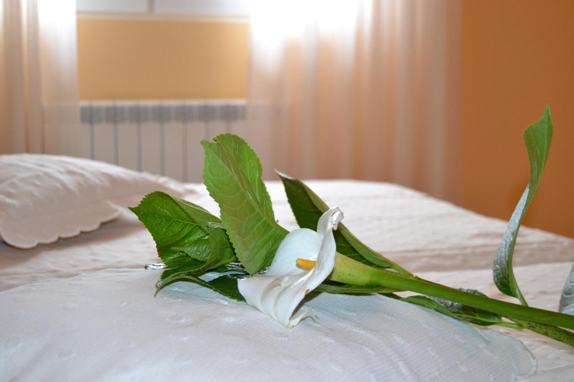 Hostal Pereirina Cee Pokoj fotografie